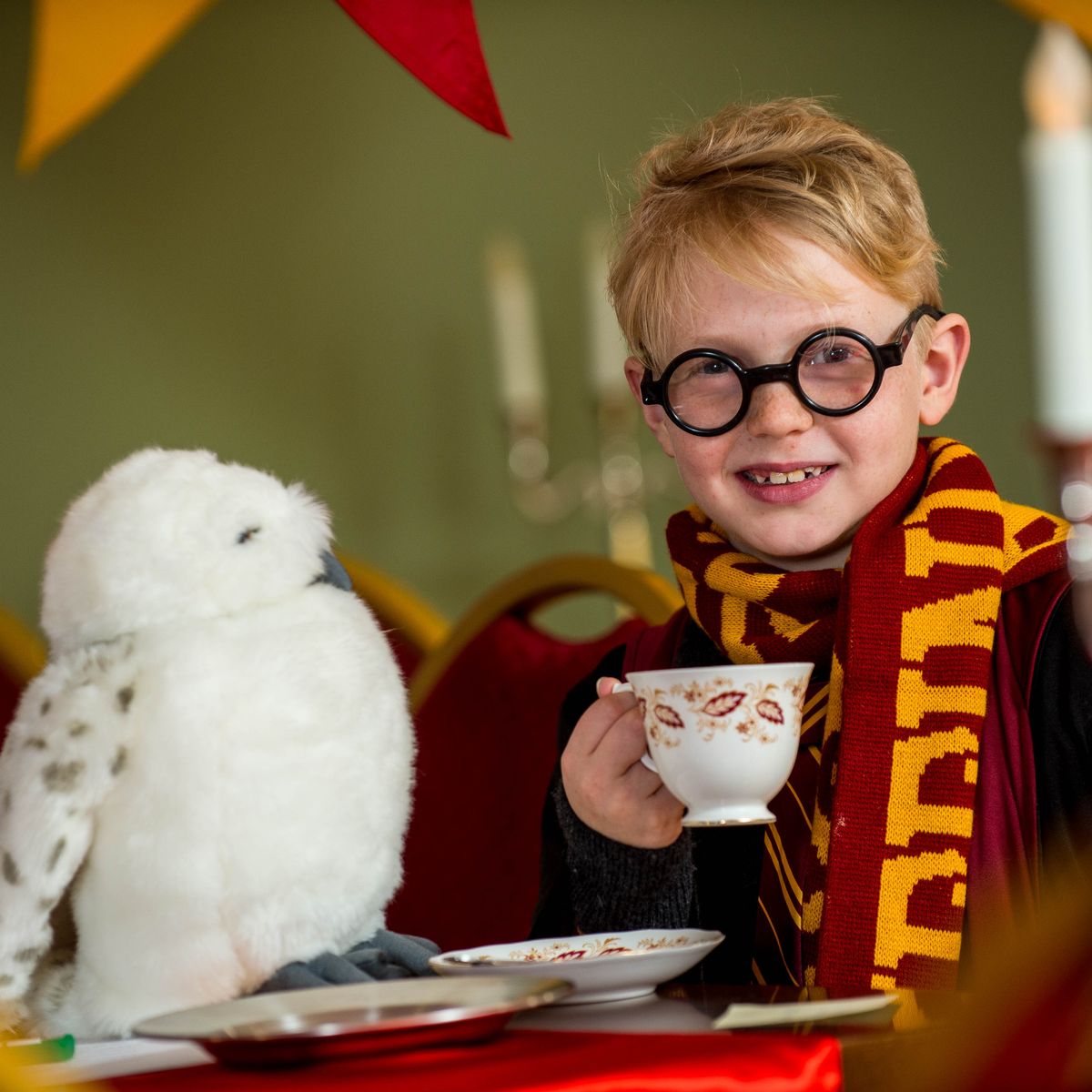 harry potter